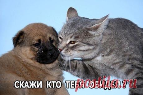 Интересные новости