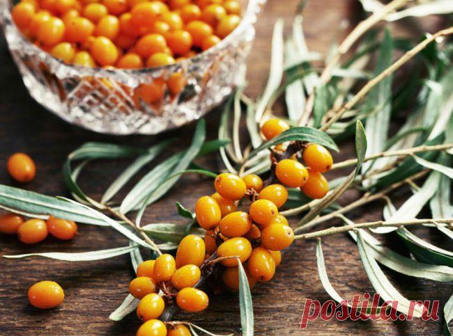 10 лечебных свойств облепихи | Я ЗДОРОВ!