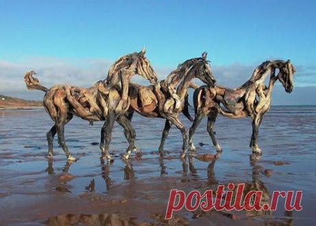 (2) Одноклассники