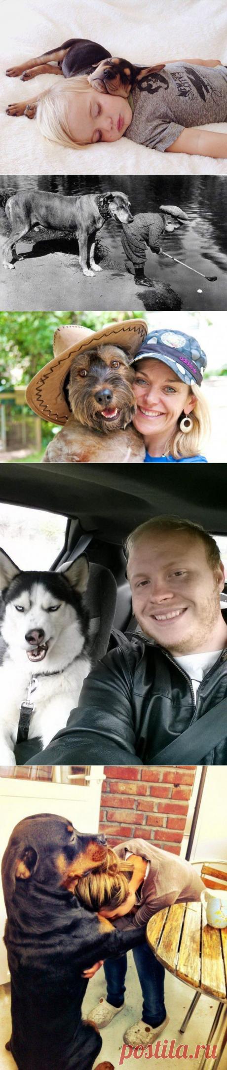 Фотографии доказывающие что нет никого преданнее собаки