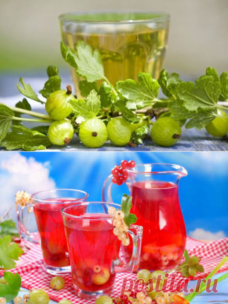 Компот из крыжовника, с малиной, смородиной, мятой, апельсином
