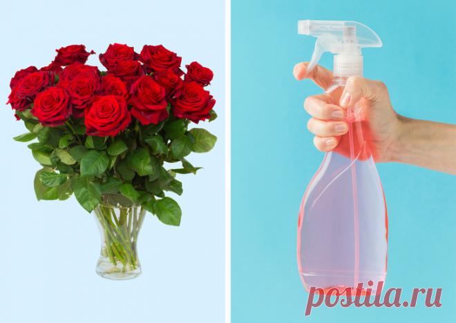 Странные и эффективные способы оживить цветы, о которых знают только флористы