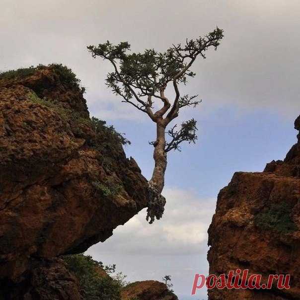 Никогда не сдавайся!