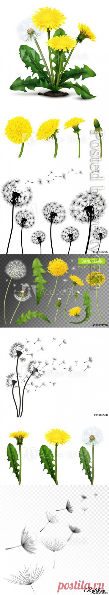 Футажи » Страница 2