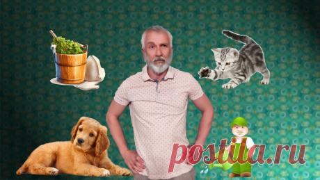 Как отдохнуть за короткое время. 5 проверенных способов | Мудрый ЗОЖник | Яндекс Дзен