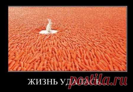 Действительно - удалась!