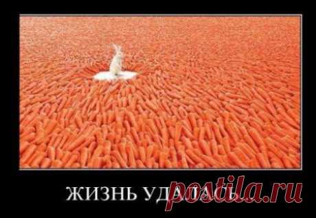 Действительно - удалась!