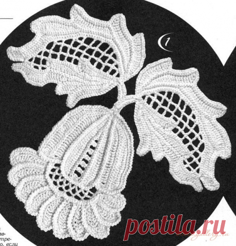 ИРЛАНДИЯ Цветы Схемы | Записи в рубрике ИРЛАНДИЯ Цветы Схемы | Дневник koko_shik