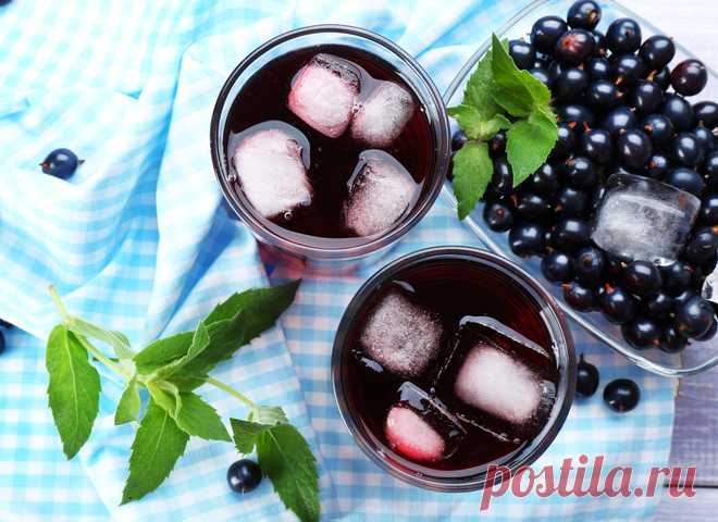 Вино із чорної смородини: перетворюємо ягоди в вино - tochka.net