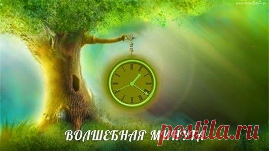 Золотая минута суток