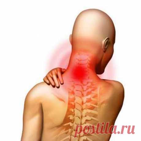 Гимнастика Ниши для начинающих