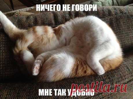 Интересные новости