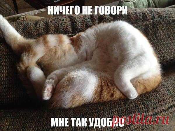 Интересные новости