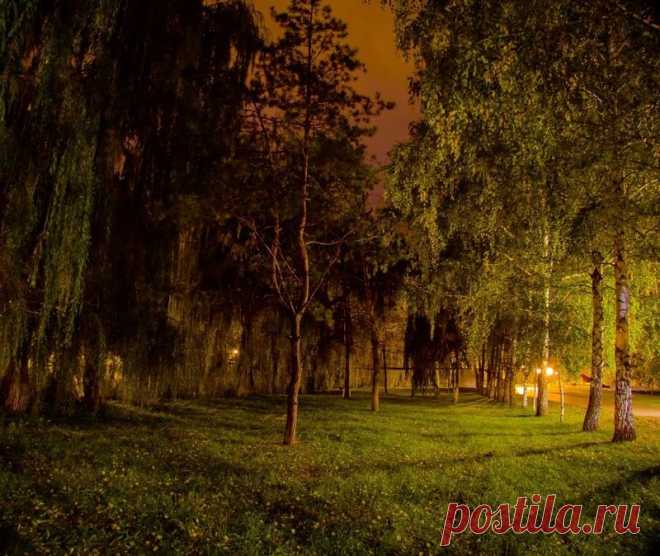 «Прохоровка и Алексеевка (Много фото)» в блоге «Города и сёла России» - Сделано у нас