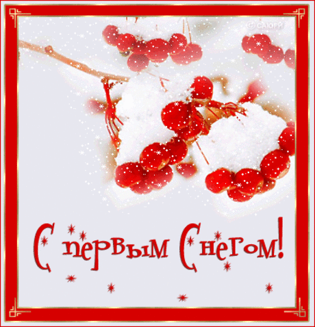 С ПЕРВЫМ СНЕГОМ ! ... Ах, кто не любит первый снег ...