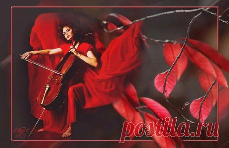 Музыка сердца... - ЭКСКЛЮЗИВ МАСТЕРОВ АНИМАЦИИ - Группы Мой Мир