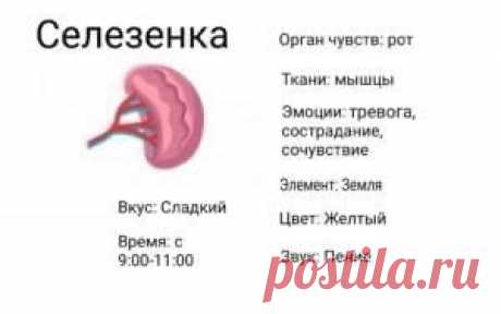 Запись на стене СЕЛЕЗЕНКА — "ВТОРАЯ МАТЬ ОРГАНИЗМА"🔸Что могут натворить в организме холод и сырость? Многое. В том числе разрушить селезенку – «сердце» 200 000-километровой лимфосистемы нашего тела. В среднем за сутки из тканевой жидкости образуется 2 л лимфы. Движется она по организму со скоростью 300 мл в секунду. Ежесекундно лимфа очищает ткани от продуктов распада, удаляет токсические вещества и отходы жизнедеятельности клеток.🔸Можно ли прожит...