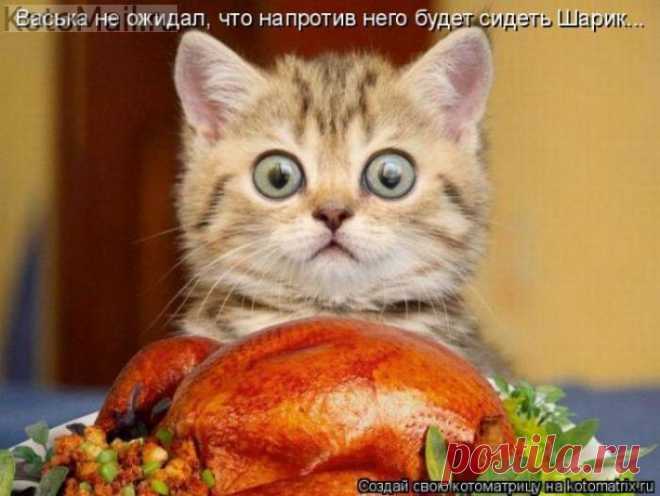 Не ожидал.