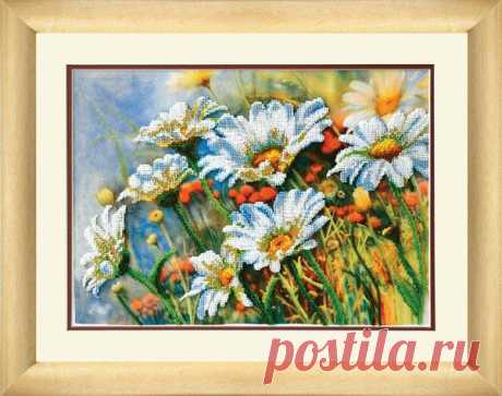 Ромашки