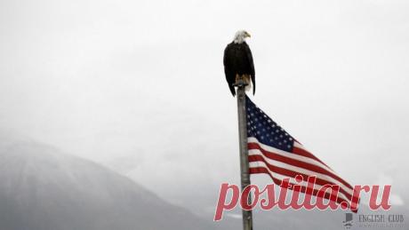 Английский разговорник | Английский Клуб