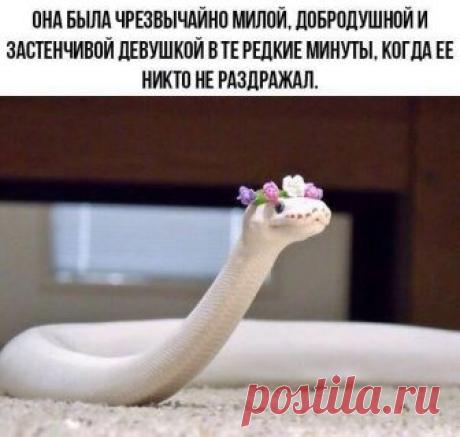 ***