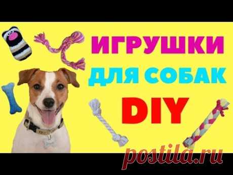 ИГРУШКИ ДЛЯ СОБАК СВОИМИ РУКАМИ | ТЕСТ ДРАЙВ ИГРУШЕК НА ДЖЕК РАССЕЛ ТЕРЬЕРАХ