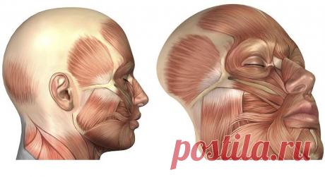 Устранение морщин марионеток. Морщины в уголках глаз