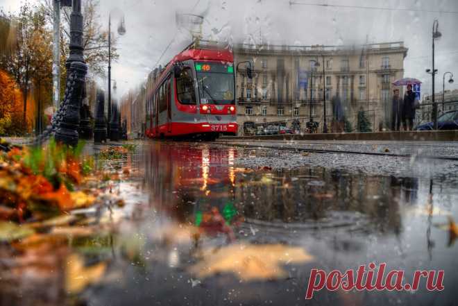 Удивительные снимки Эдуарда Гордеева