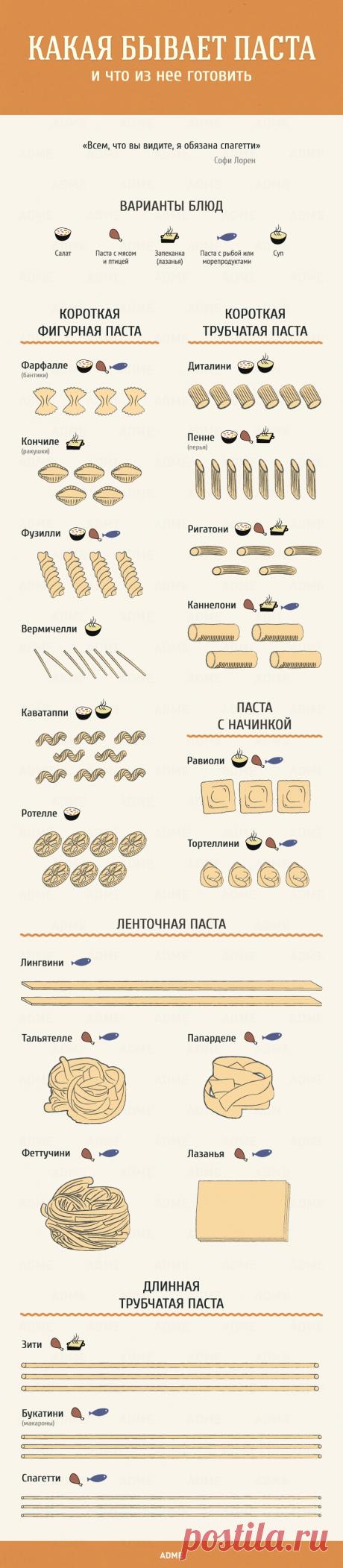 Гид по кухне и готовке