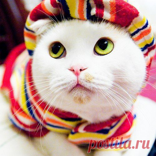 Интересные новости