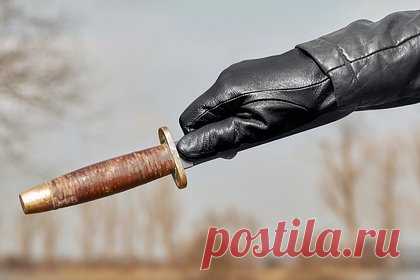 99-летняя женщина стала ассистенткой метателя ножей в цирке и осуществила мечту. В Великобритании 99-летняя женщина осуществила мечту, приняв участие в цирковом номере с метанием ножей. Она вышла на сцену, опираясь на ходунки, и встала перед доской, куда профессиональный метатель ножей бросал клинки. После выступления британка заявила, что всегда мечтала об этом и готова к следующему шоу.