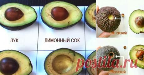 Применение авокадо - Женская красота