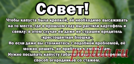БЕРЁМ НА ЗАМЕТКУ! — Копилочка полезных советов