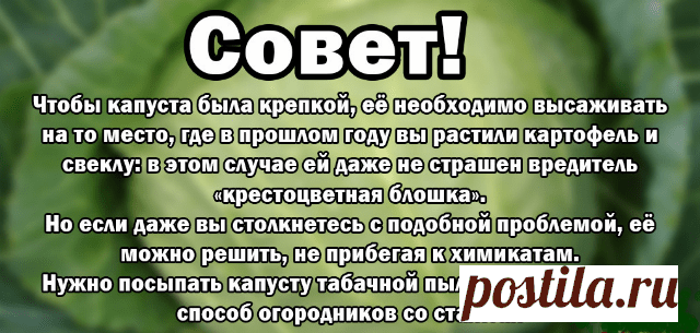 БЕРЁМ НА ЗАМЕТКУ! — Копилочка полезных советов
