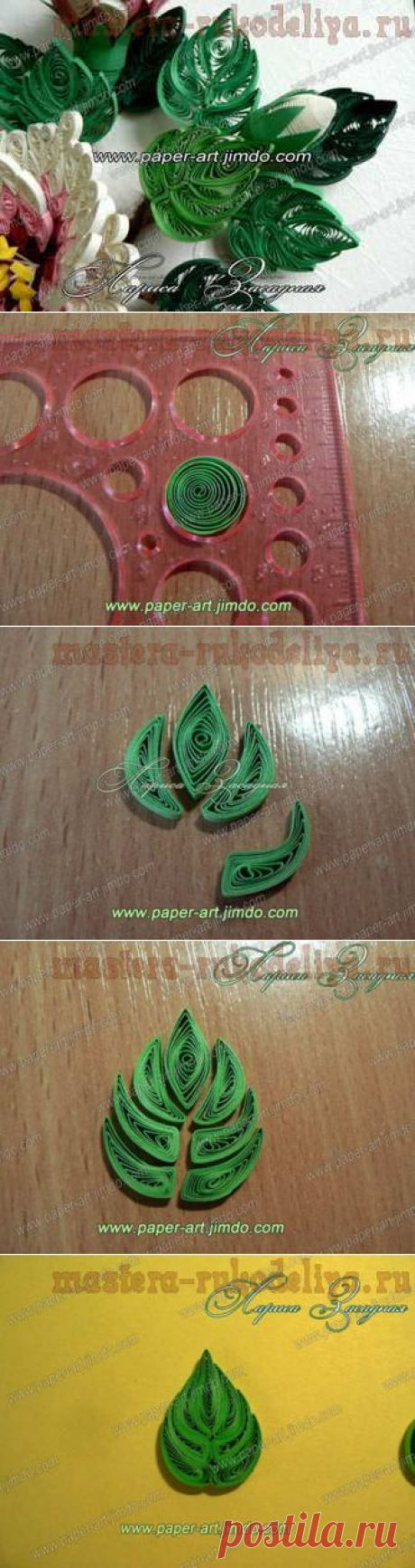 Мастер-класс по квиллингу: Листья магнолии