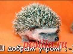 Доброй дороги — идущим! Сил и терпения — ожидающим! Тепла и искренности — встречающим… И волшебного пинка — нерешительным!) C добрым утром , леди и джентльмены!
