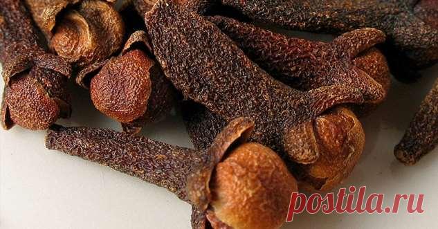 Вот как использовать гвоздику и избавиться от вздутия живота, тромбов и 15 заболеваний | Люблю Себя