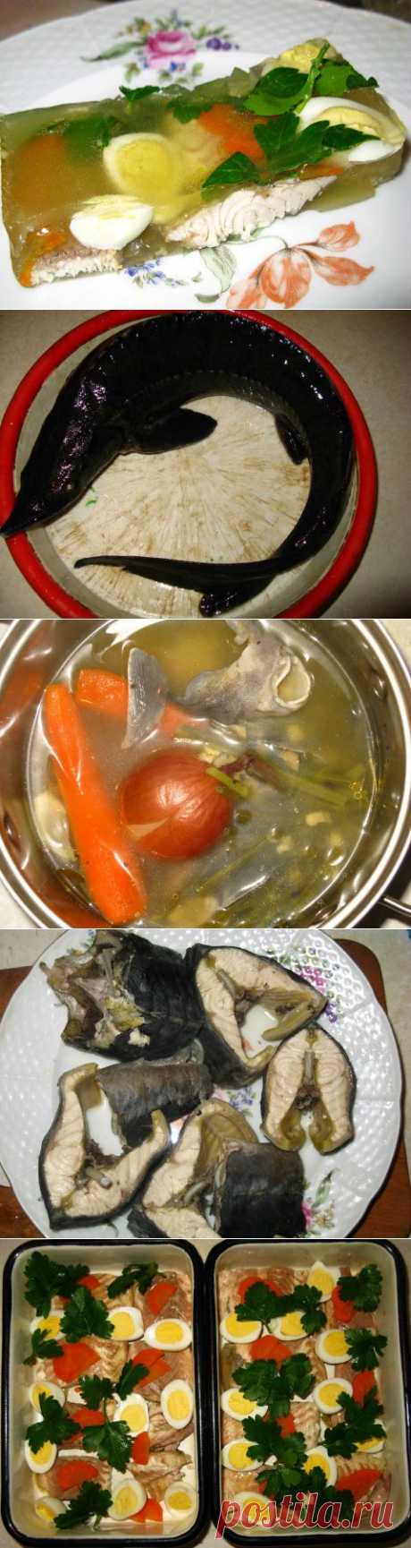 Стерлядь заливная
