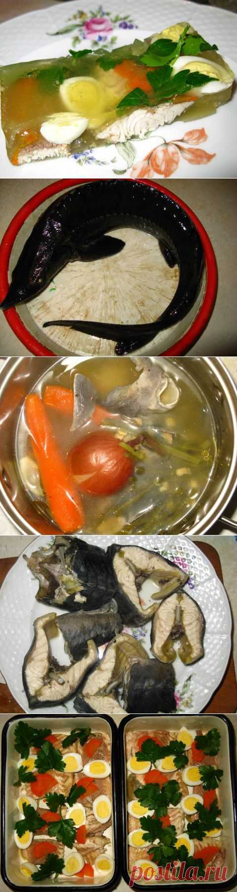 Стерлядь заливная