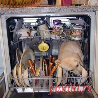 Что можно и нельзя мыть в посудомоечной машине: правила и рекомендации Последствия мытья кухонной утвари из различных материалов в автоматической посудомойке. Что нельзя мыть и почему в посудомоечной машине. Какую посуду класть в ПММ можно. Как различные материалы реагируют на мойку специальными средствами: алюминий, дерево, пластик