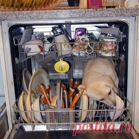 Что можно и нельзя мыть в посудомоечной машине: правила и рекомендации Последствия мытья кухонной утвари из различных материалов в автоматической посудомойке. Что нельзя мыть и почему в посудомоечной машине. Какую посуду класть в ПММ можно. Как различные материалы реагируют на мойку специальными средствами: алюминий, дерево, пластик