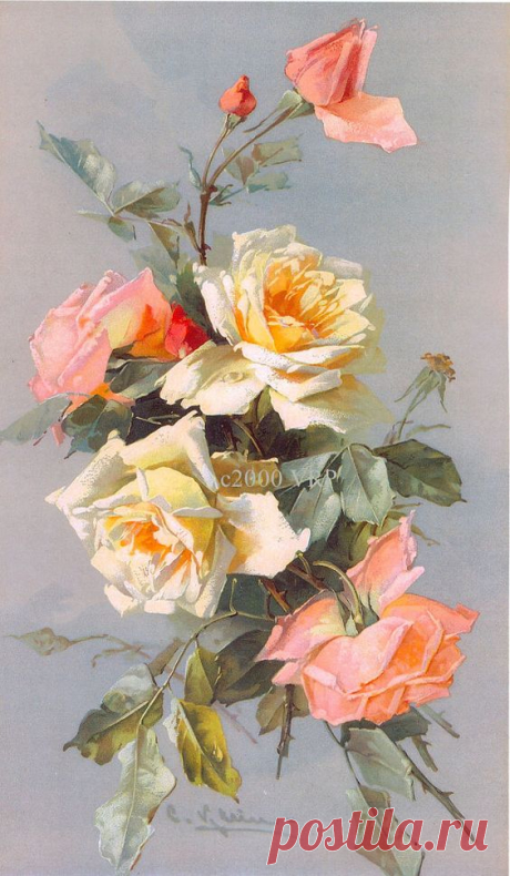 (723) PRINT FREE SHIP Victorian Roses Bouquet Catherine Klein Rose
