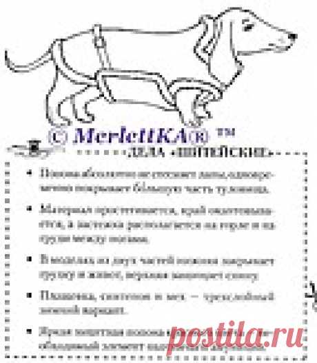 Одежда для животных - полезные советы по кройке и снятие мерок