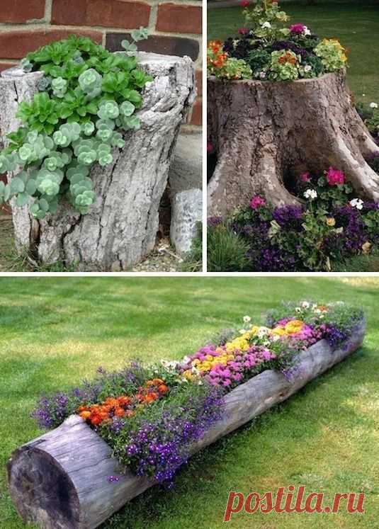 25 DIY Low Budget Garden Ideas