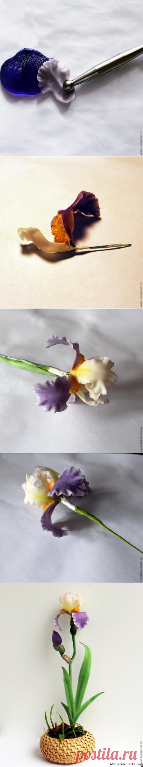 ИРИС ИЗ ПОЛИМЕРНОЙ ГЛИНЫ. МАСТЕР-КЛАСС.