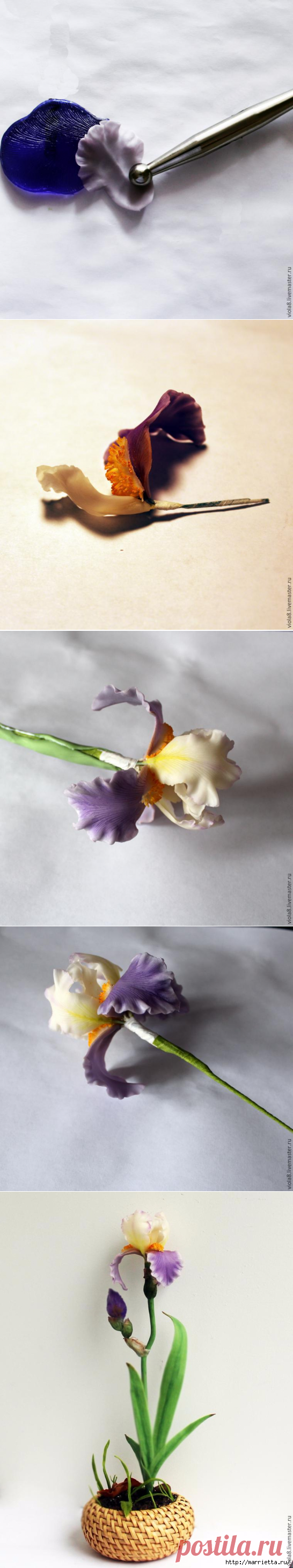 ИРИС ИЗ ПОЛИМЕРНОЙ ГЛИНЫ. МАСТЕР-КЛАСС.