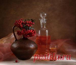 Дневник kask63