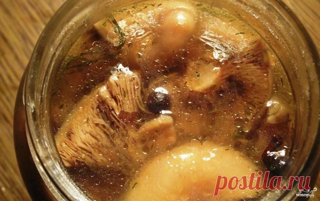 Маринованные рыжики - пошаговый рецепт с фото на Повар.ру