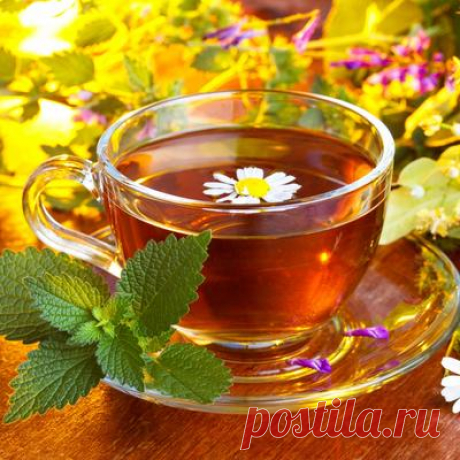 Травяные чаи: рецепты. Витаминные, пряные и вкусные чаи