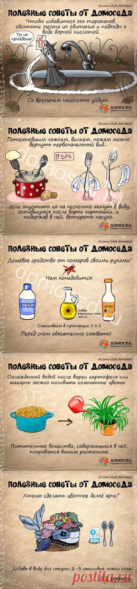Полезные советы от Домоседа пригодятся всем!